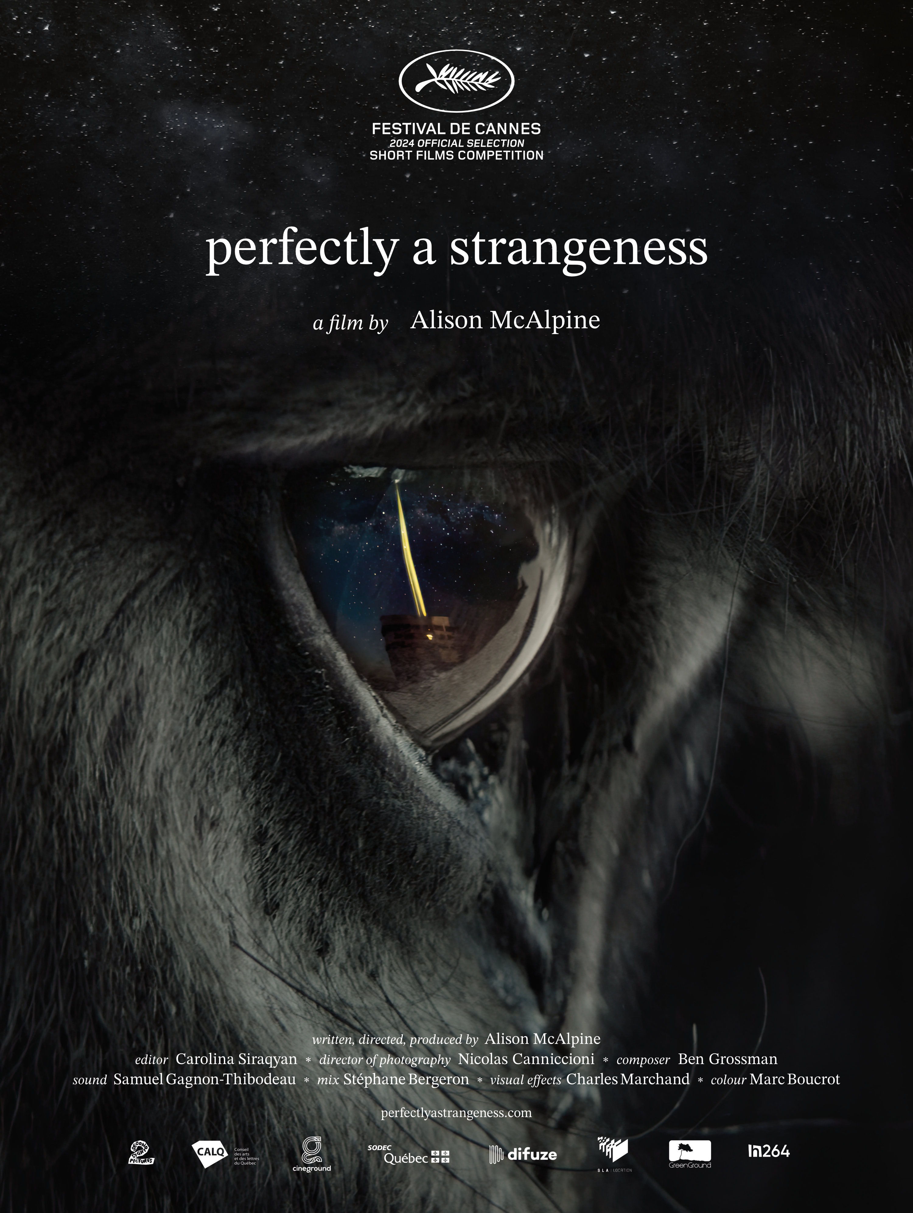 Movie Poster: Perfectly a Strangeness by Alison McAlpine